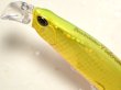 画像2: デュオ ビーチウォーカー95ファルクラム：ヒラメゴールド【ネコポス配送可】 (2)