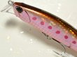 画像2: デュオ ビーチウォーカーアクシオン95S：Z056 ゾンビイワシ（限定カラー）【ネコポス配送可】 (2)