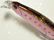 画像2: デュオ ビーチウォーカー95ファルクラム：Z056 ゾンビイワシ（限定カラー）【ネコポス配送可】 (2)
