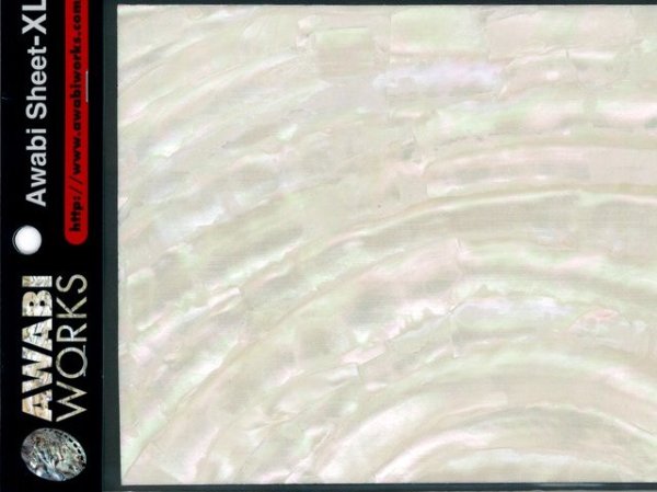 画像1: アワビワークス アワビシートXL：夜光貝/ナチュラル■ネコポス対象外■ (1)