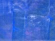 画像1: あわび本舗 最高級アワビシート小判：超ケイムラ/ブルー【ネコポス配送可】 (1)