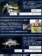 画像2: [DVD]地球丸 日本怪魚物語 Vol.2 武石憲貴【ネコポス配送可】 (2)