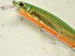 画像3: O.S.P ヴァルナ110S：PCH-86 アイクルグリーンゴールドコノシロ（限定カラー）■ネコポス対象外■ (3)