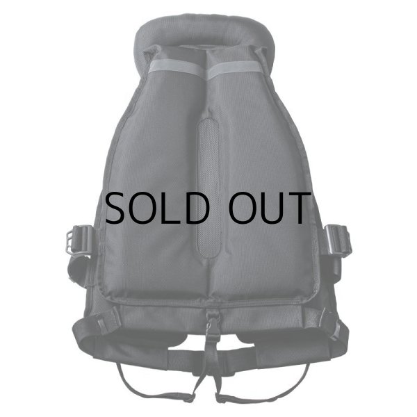 APIAガネットバリスティックベスト