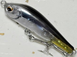 ピックアップ ワスプスラローム50S：銀粉稚鮎【ネコポス配送可