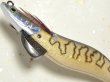 画像3: マルキュー エギリーダートマックス3.0号：＃6744 D27CG ラグジュアタイガークリスタルゴールド【ネコポス配送可】 (3)