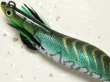 画像2: マルキュー エギリーダートマックス2.5号：＃9807 D205GE グリーンタイガーCグリーン【ネコポス配送可】 (2)