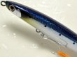 画像2: シマノ トライデント115S AR-C：01T カガヤキマイワシ【ネコポス配送可】 (2)