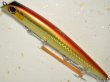 画像1: シマノ ゴリアテ ハイ125F X AR-C：11T ホロアカキン【ネコポス配送可】 (1)