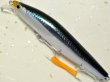 画像1: 【SALE】シマノ サイレントアサシン99F AR-C：012 狂鱗 キョウリンカタクチ【ネコポス配送可】 (1)
