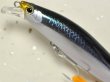 画像2: 【SALE】シマノ サイレントアサシン99F AR-C：012 狂鱗 キョウリンカタクチ【ネコポス配送可】 (2)