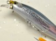 画像3: 【SALE】シマノ サイレントアサシン99F AR-C：012 狂鱗 キョウリンカタクチ【ネコポス配送可】 (3)