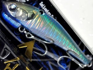 newranga65-14.jpg