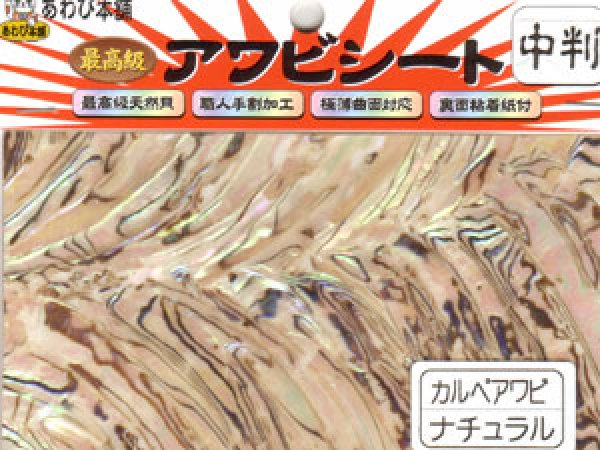 画像1: あわび本舗 最高級アワビシート中判：カルペアワビナチュラル【ネコポス配送可】 (1)