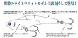 画像2: コアマン IP-18 アイアンプレートレアメタル：＃034 プレーンイワシハラグロー【ネコポス配送可】 (2)