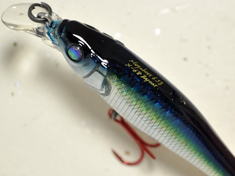 メガバス　限定　POP MAX ( GG CRUISING BLUE ) メガバス 限定 POP MAX ( GG CRUISING BLUE ) メガバス 限定 POP